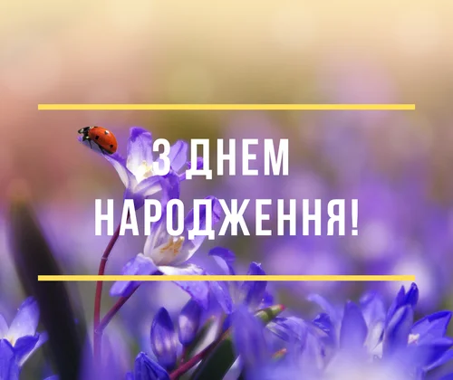 Листівка із фіалками та сонечком