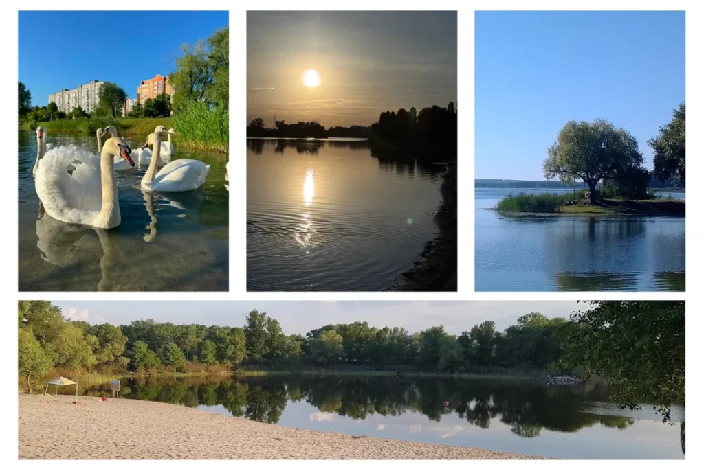 Колаж із лебедями, озером і пляжем у Горішніх Плавнях